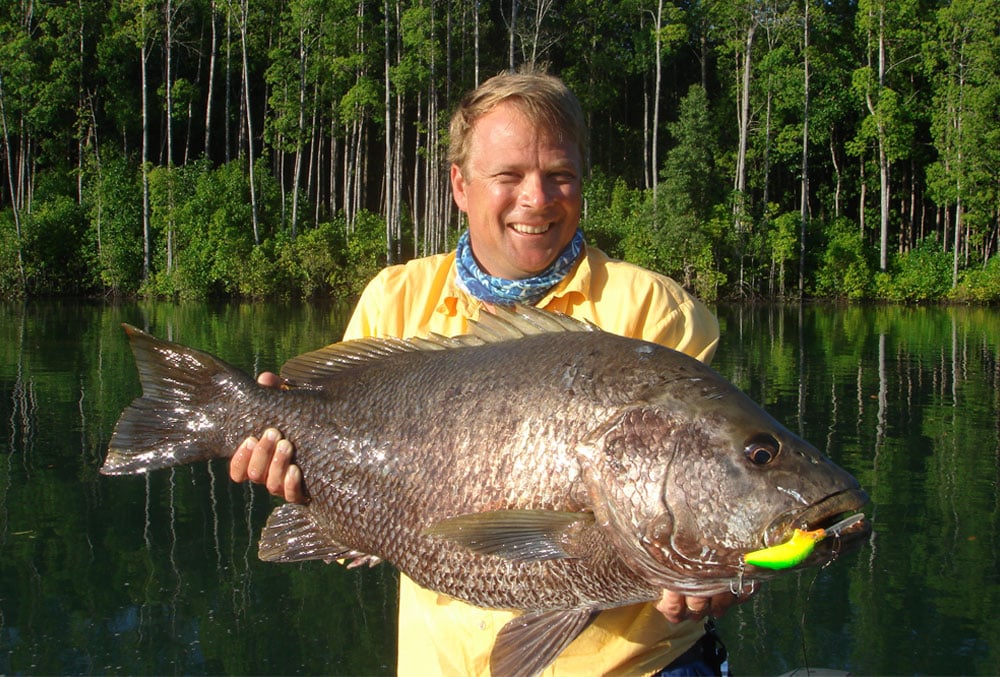 Papuan black snapper (aka black bass).jpg