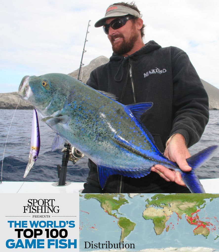 bluefin trevally