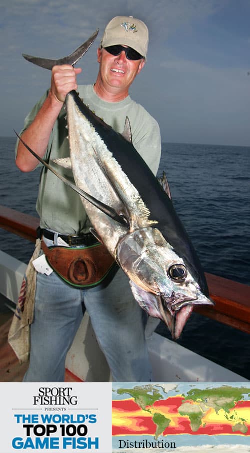 albacore tuna