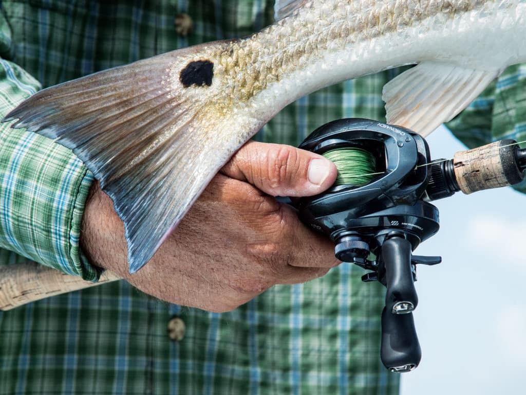 baitcaster reels for fishing