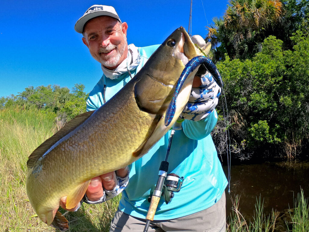 Bowfin caught on a bass lure