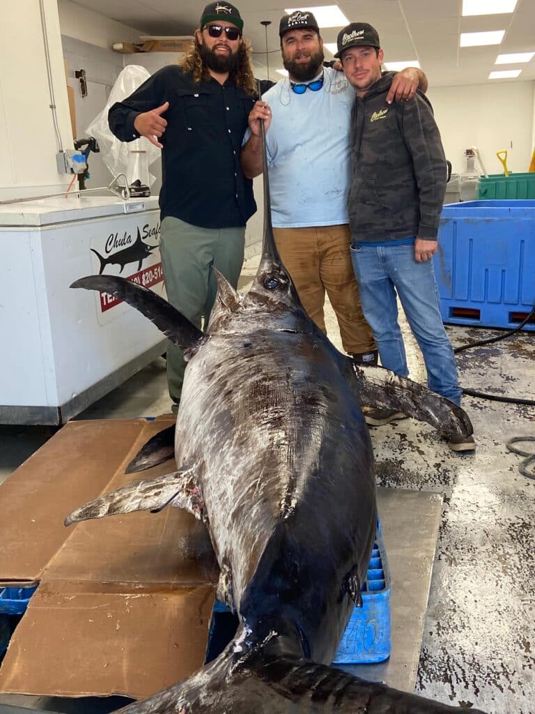 California record swordfish