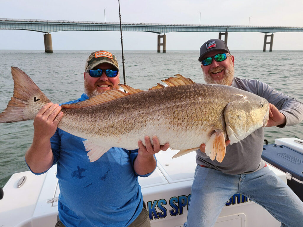 Chesapeake Bay bridge red drum