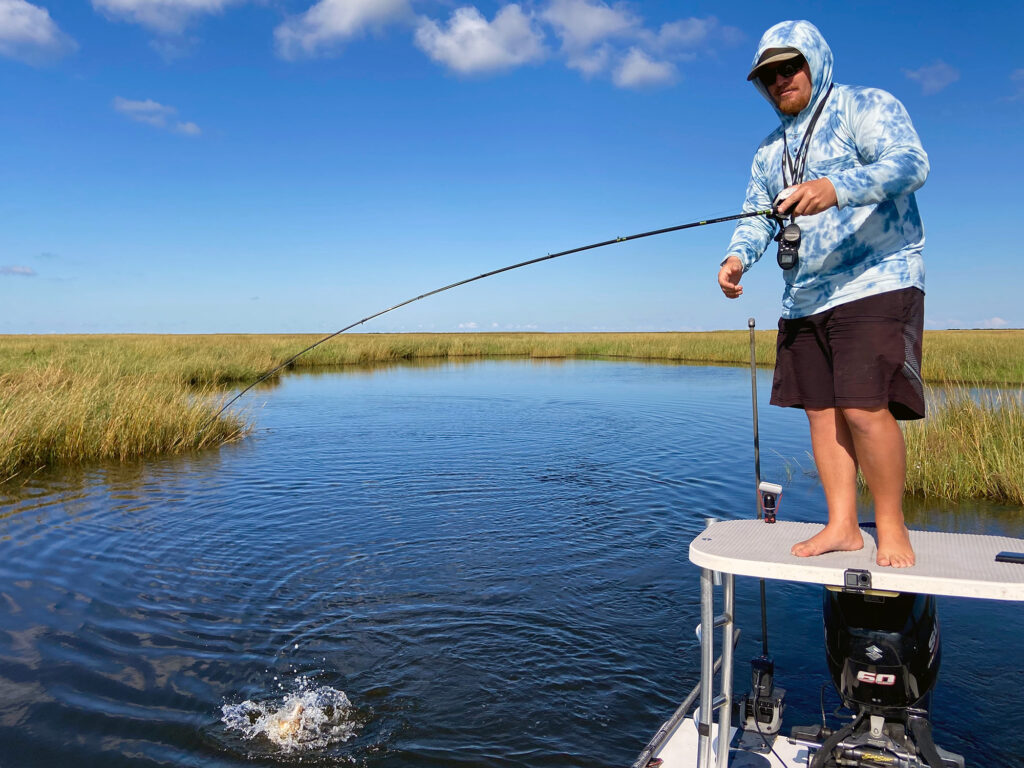 redfish in Louisiana duck ponds