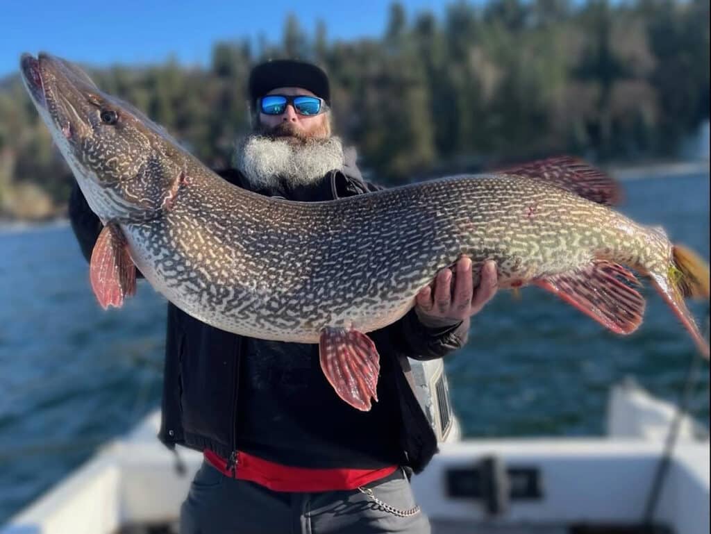 Idaho record northern pike