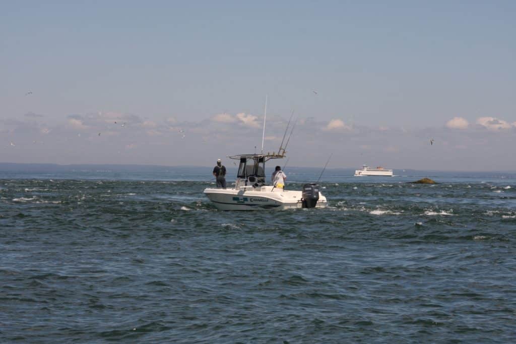 Fishing stripers and blues in Northeast boulder fields - drifting in current