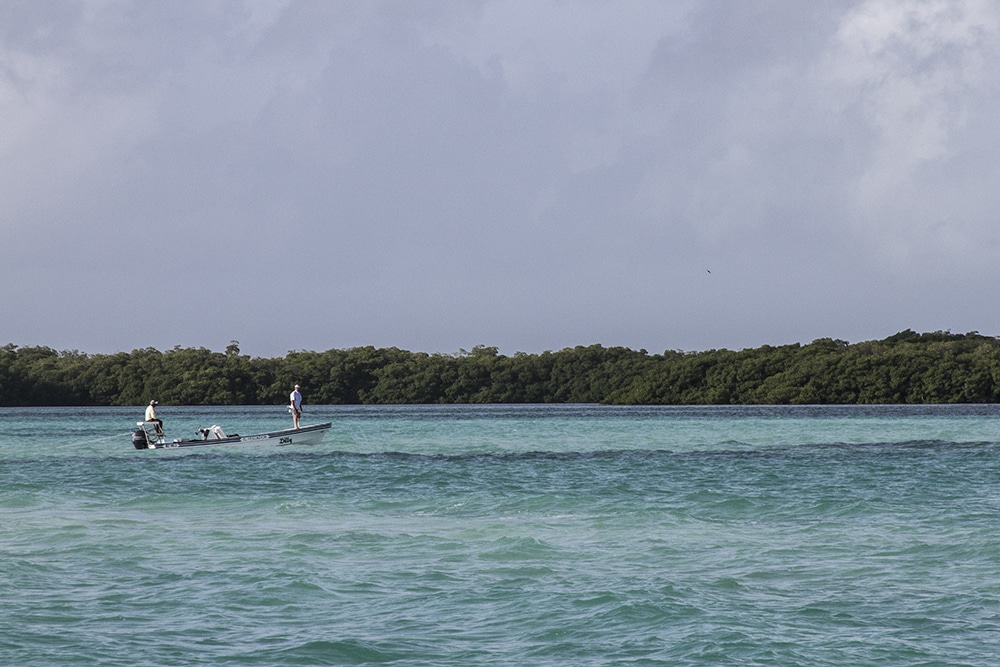 Belize Fly Fishing - 10