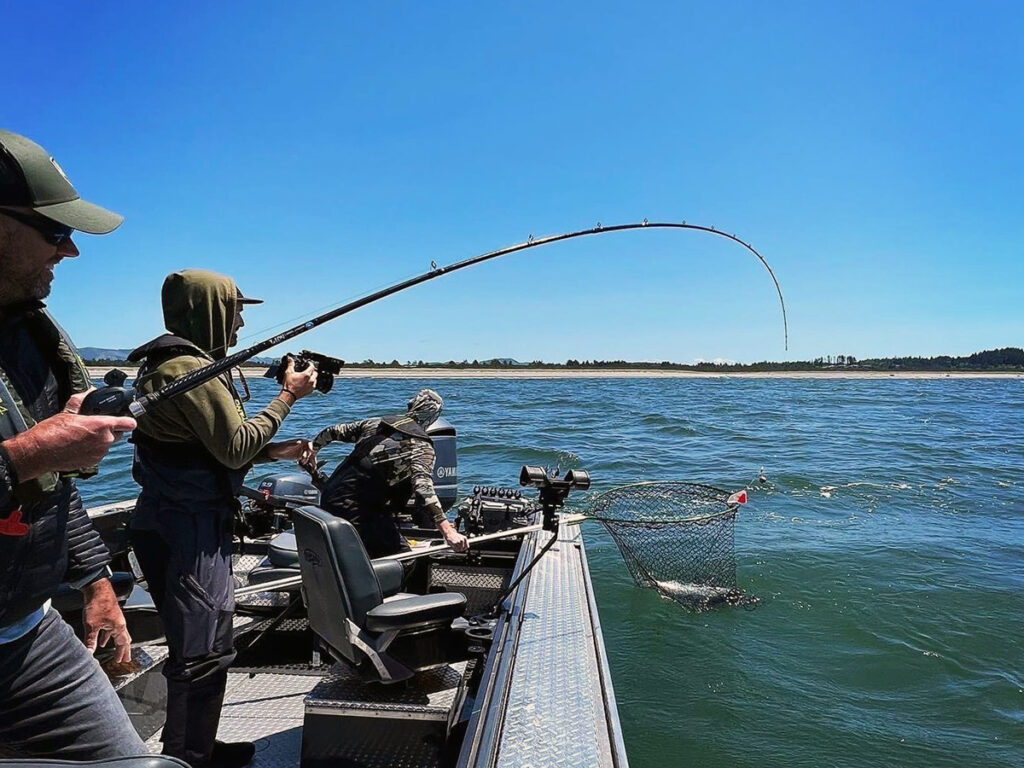 netting a salmon