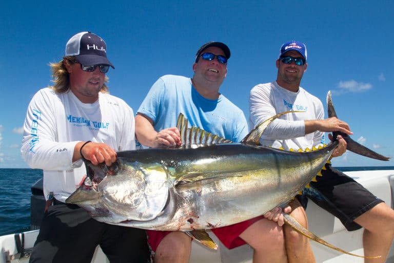 yellowfin tuna landed