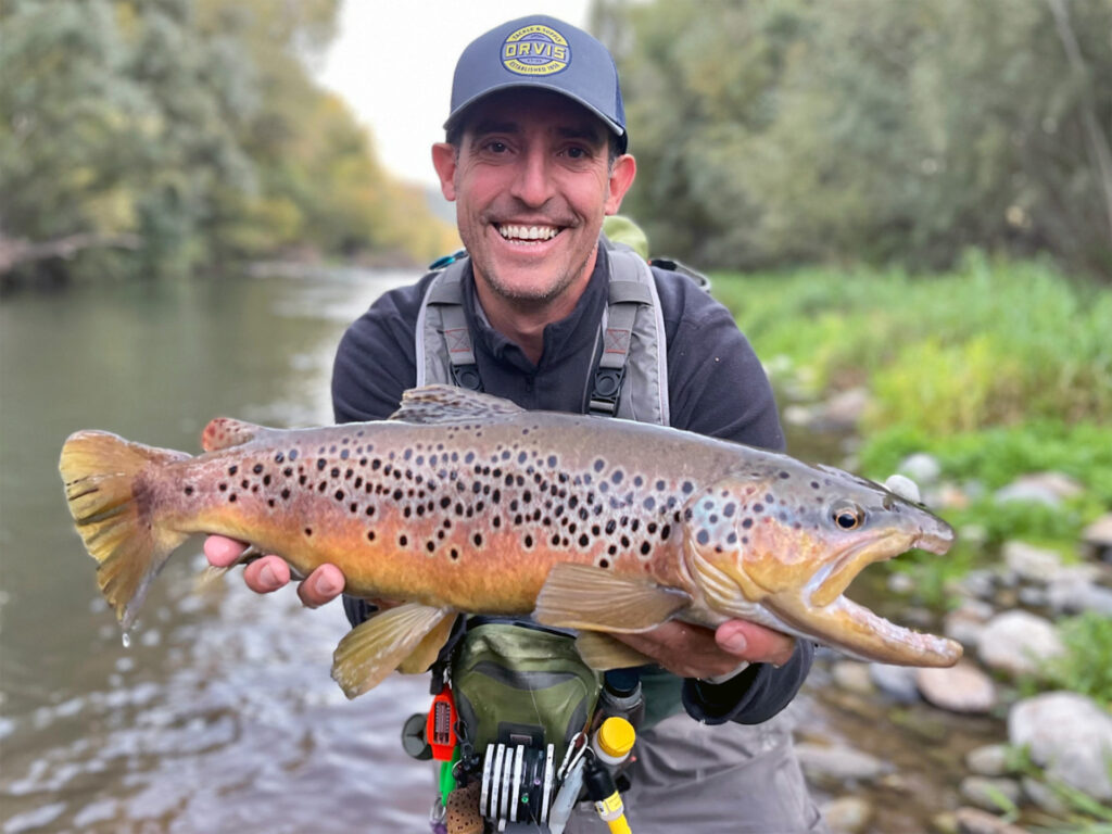 Catch and release Mediterranean trout