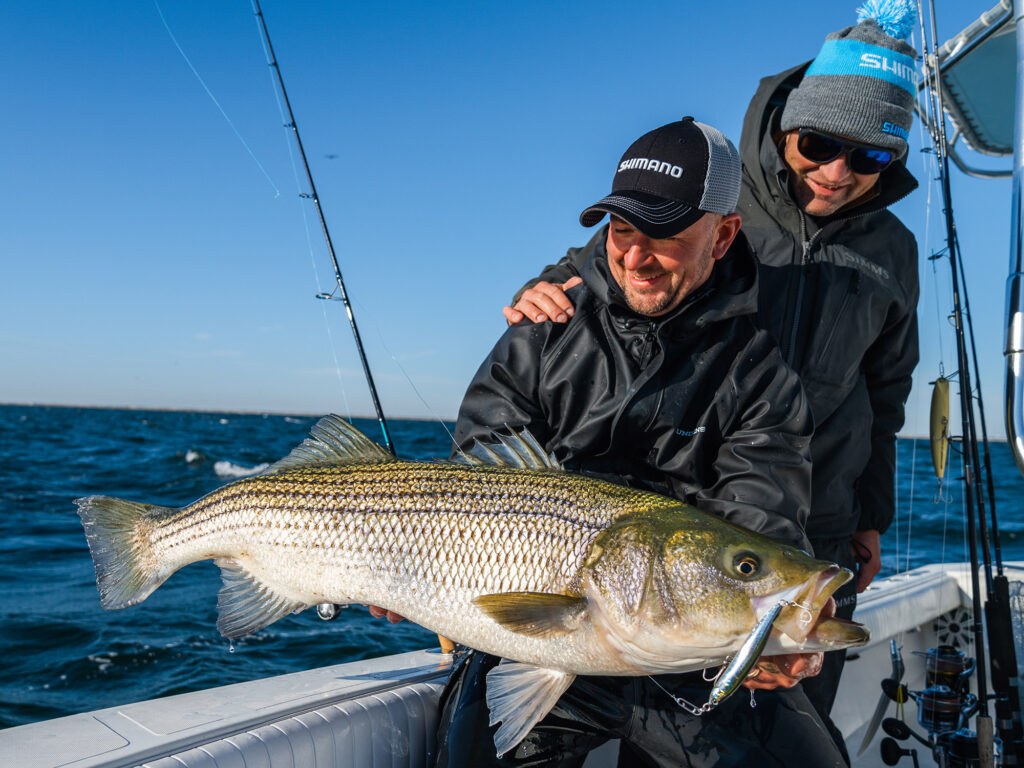 striped bass fishing