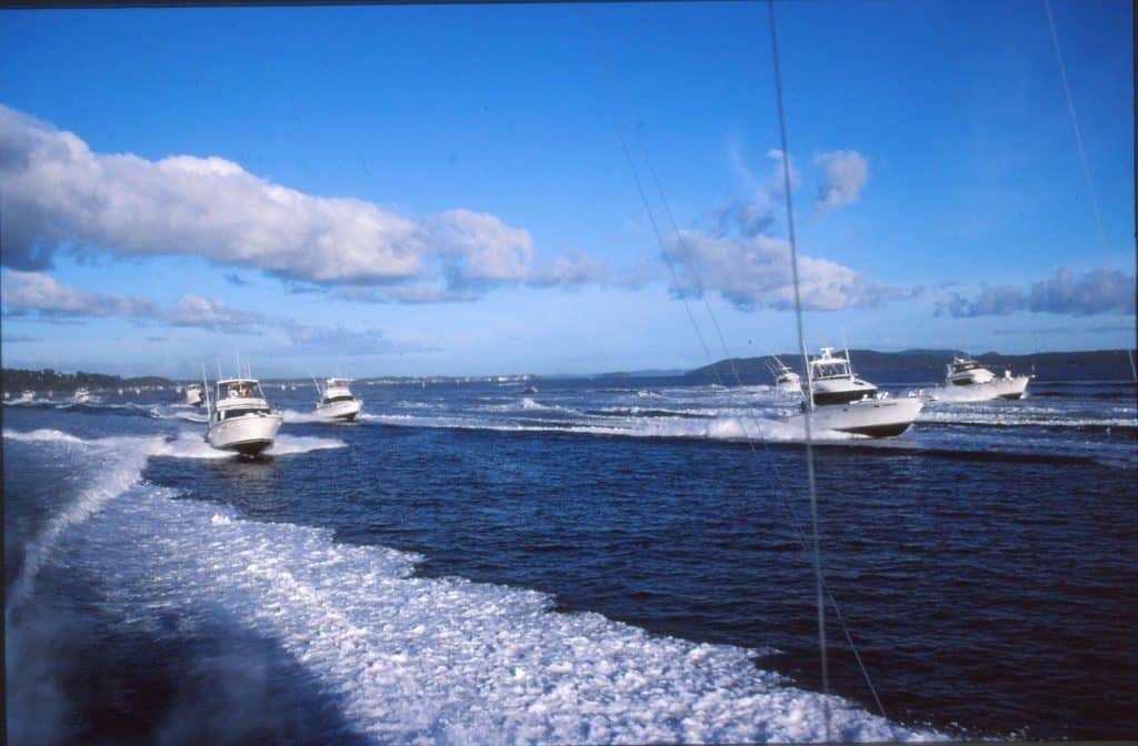 Australia marlin fishing at Port Stephens - tournament start