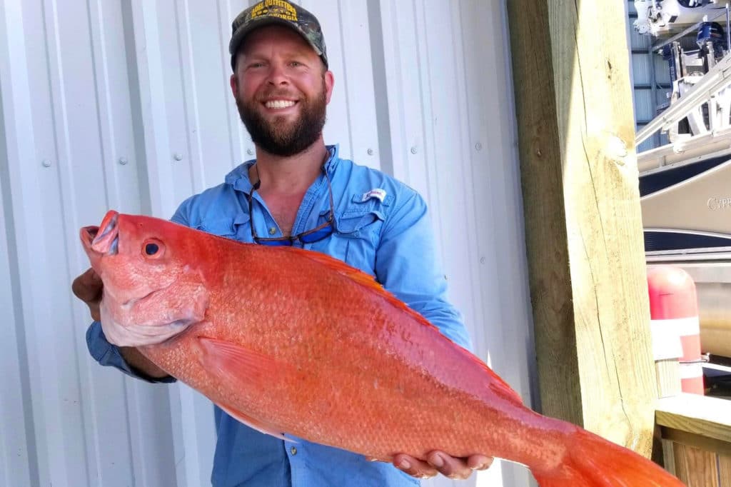 Red Snapper