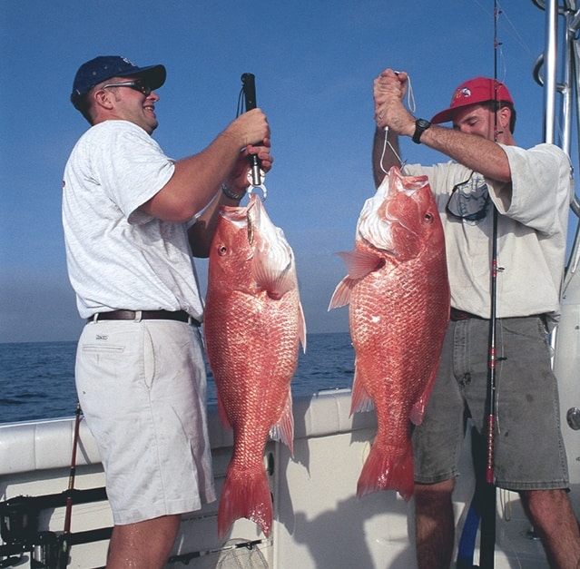 red snapper