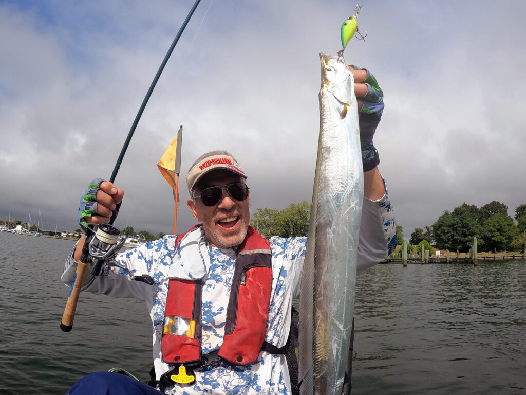 cutlassfish are also called ribbonfish