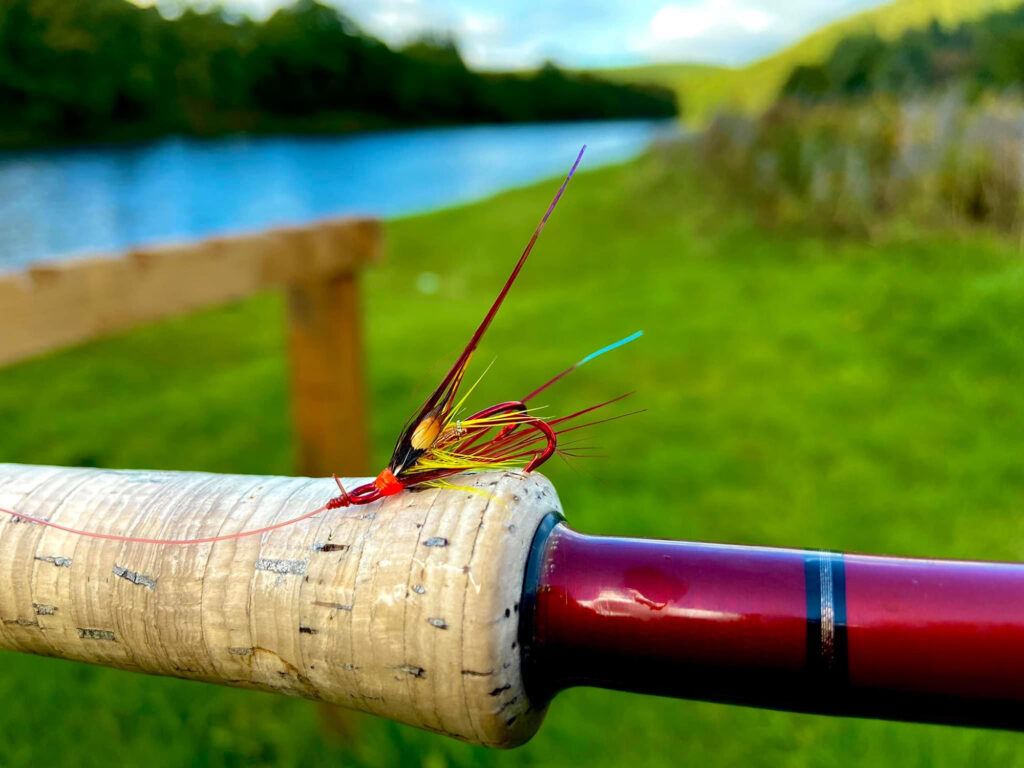 Scottish fly with a dual hook