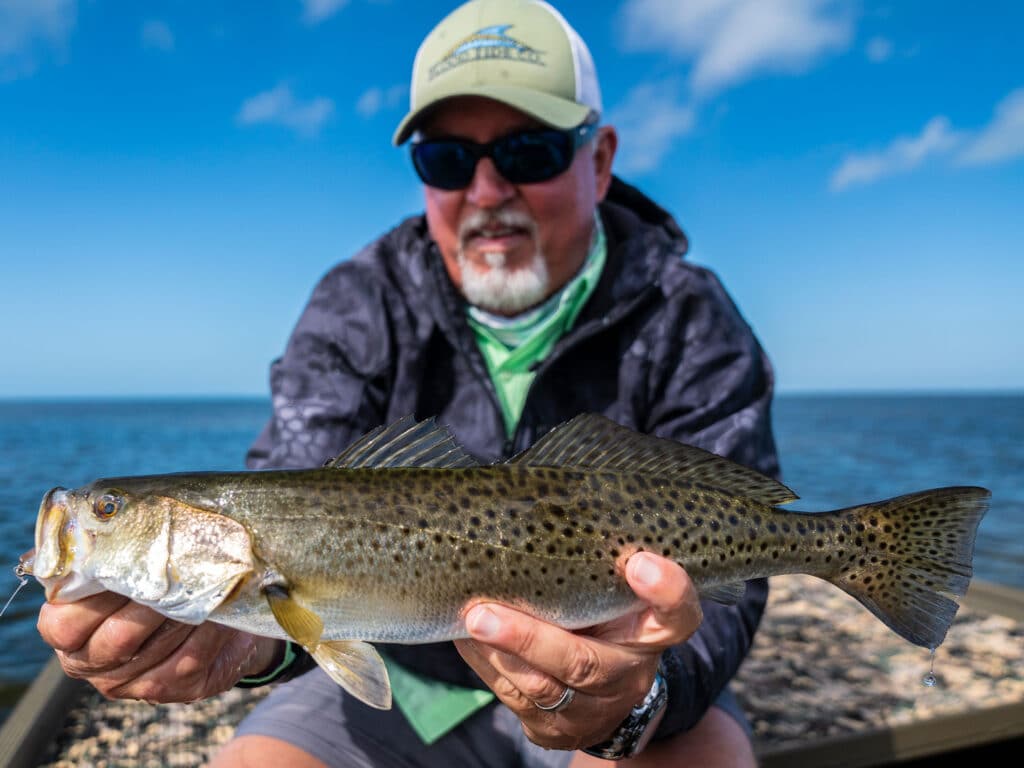 spotted seatrout