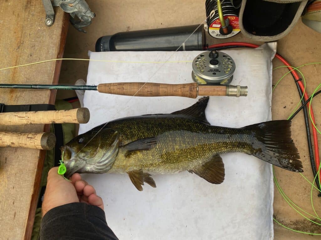 Smallmouth Bass in Canoe