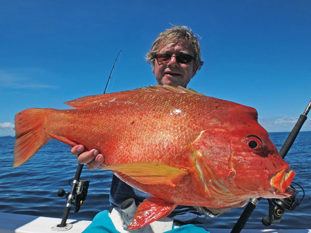 Humphead Snapper