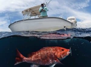 Gulf of Mexico Fishing Excitement at Panama City