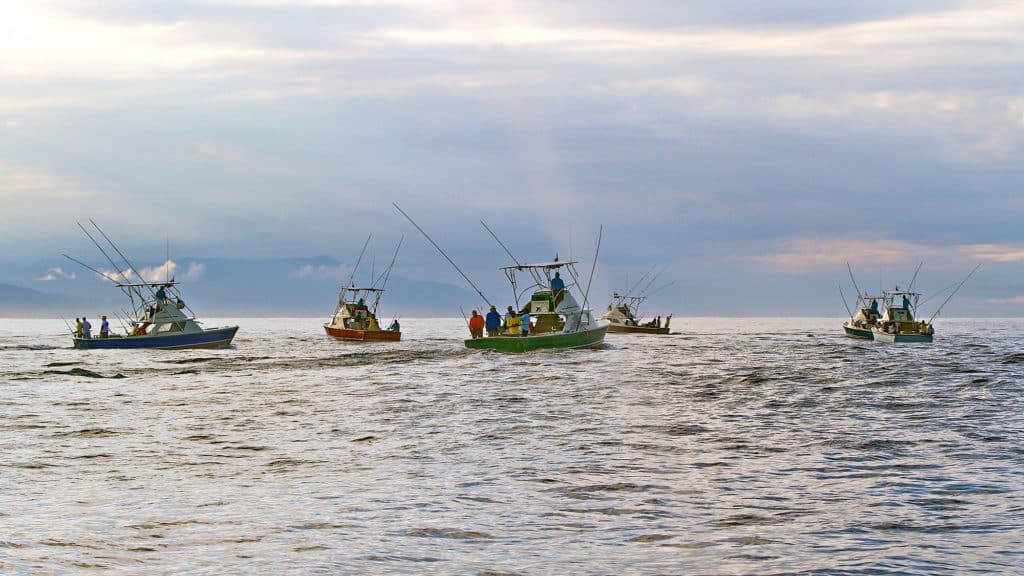 Tropic Star’s fleet of sport fishers