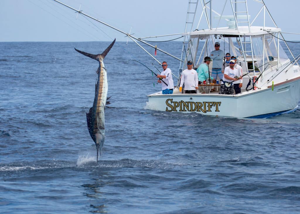 Sailfish jumping off Guatemala