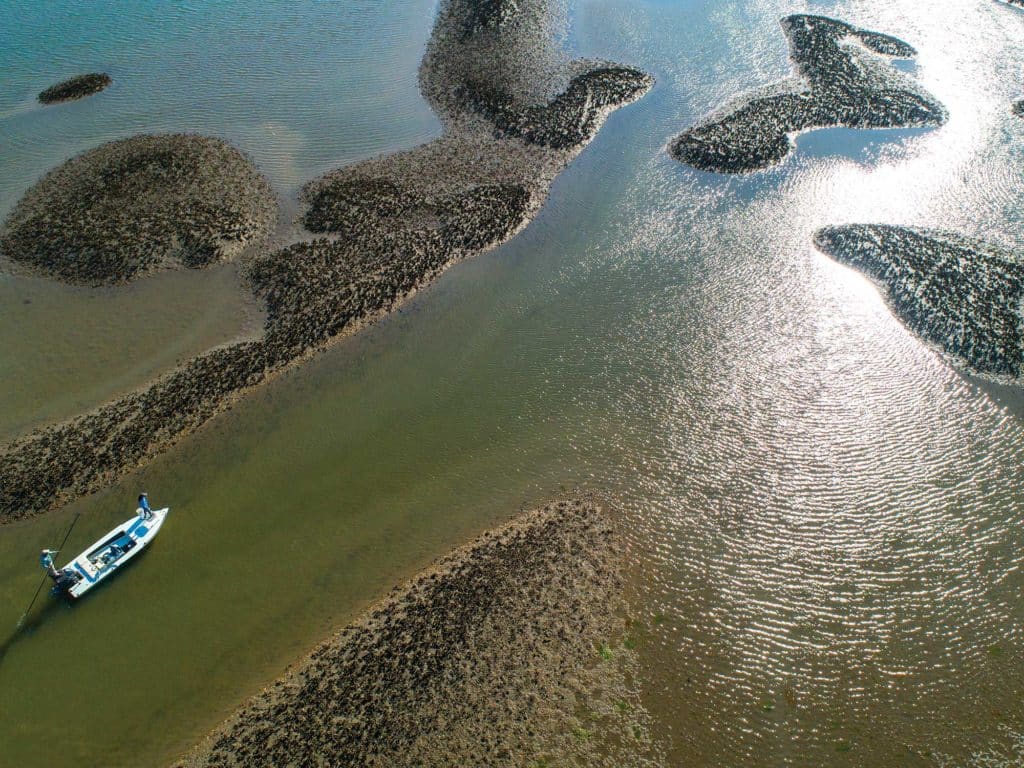 Anglers poling around oyster bars