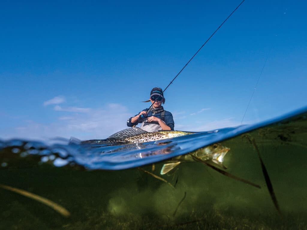 Angler fishing for seatrout