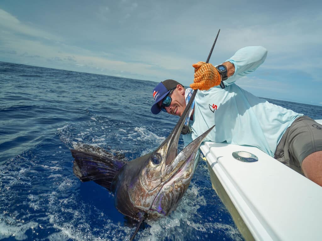 Pacific sailfish in Costa Rica