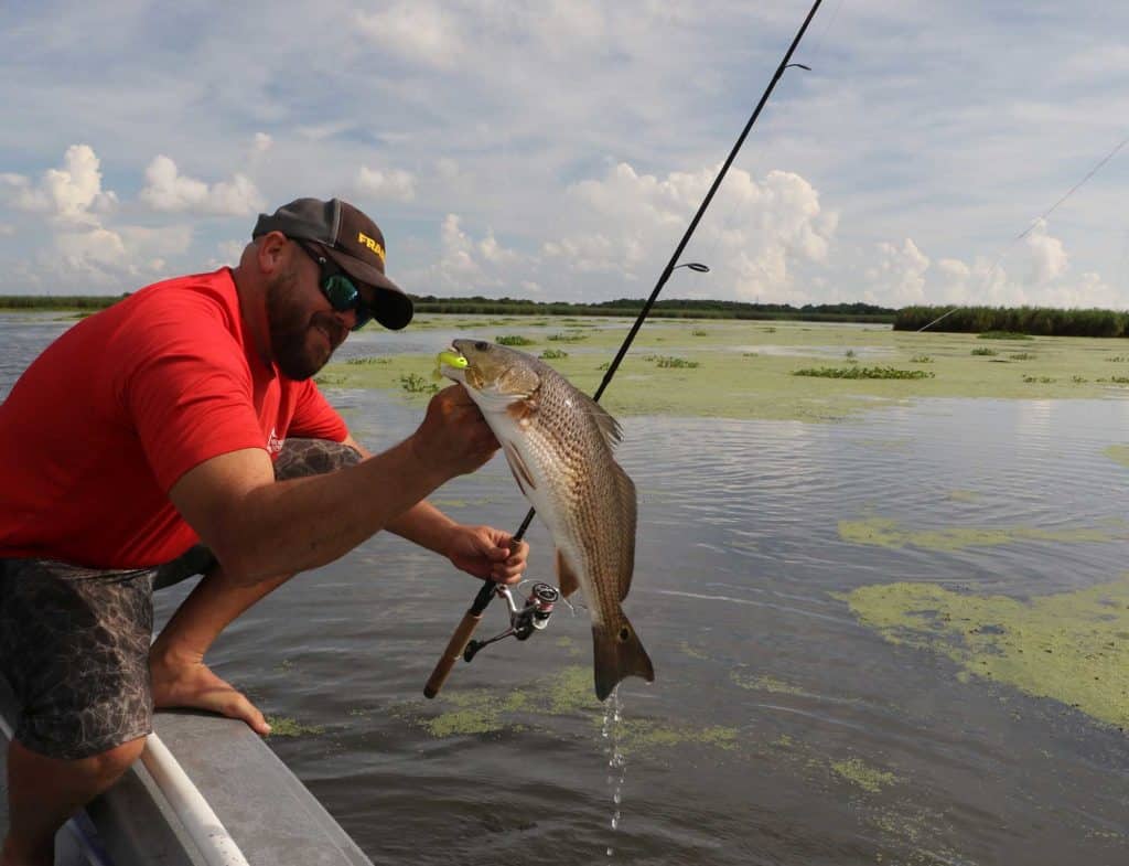 Catching Redfish in the Muddy Mississippi Marsh