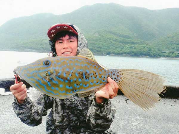 IGFA record filefish