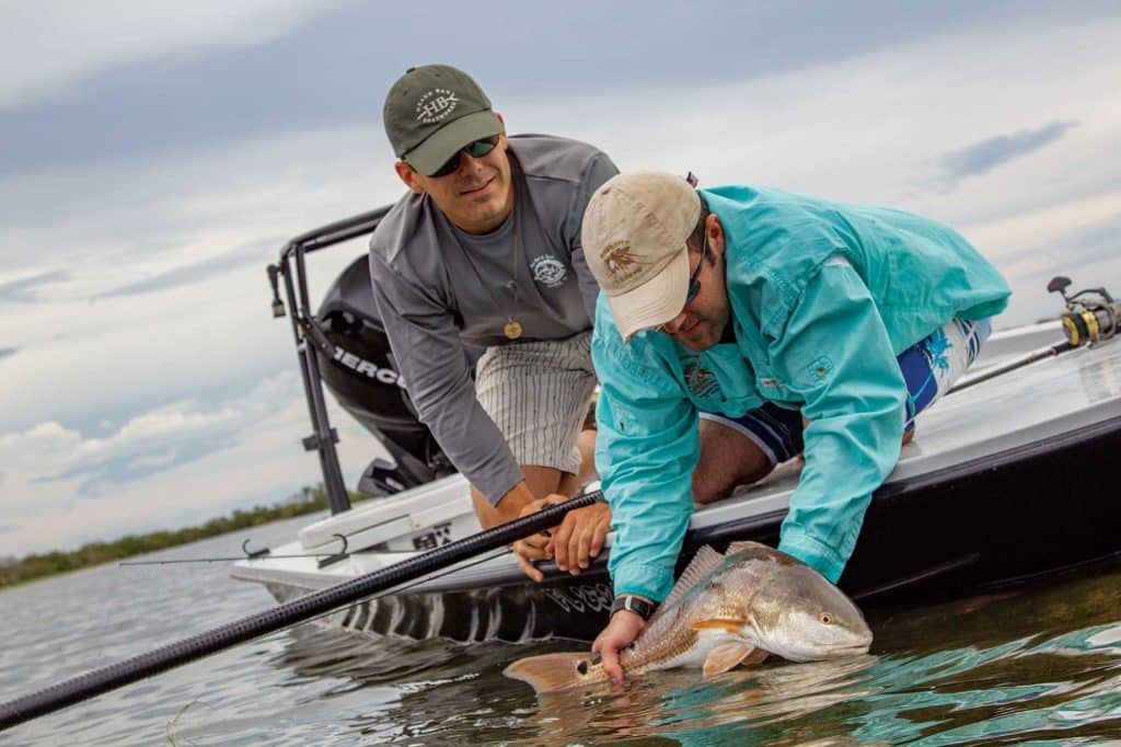 Redfish caught on Florida's west coast