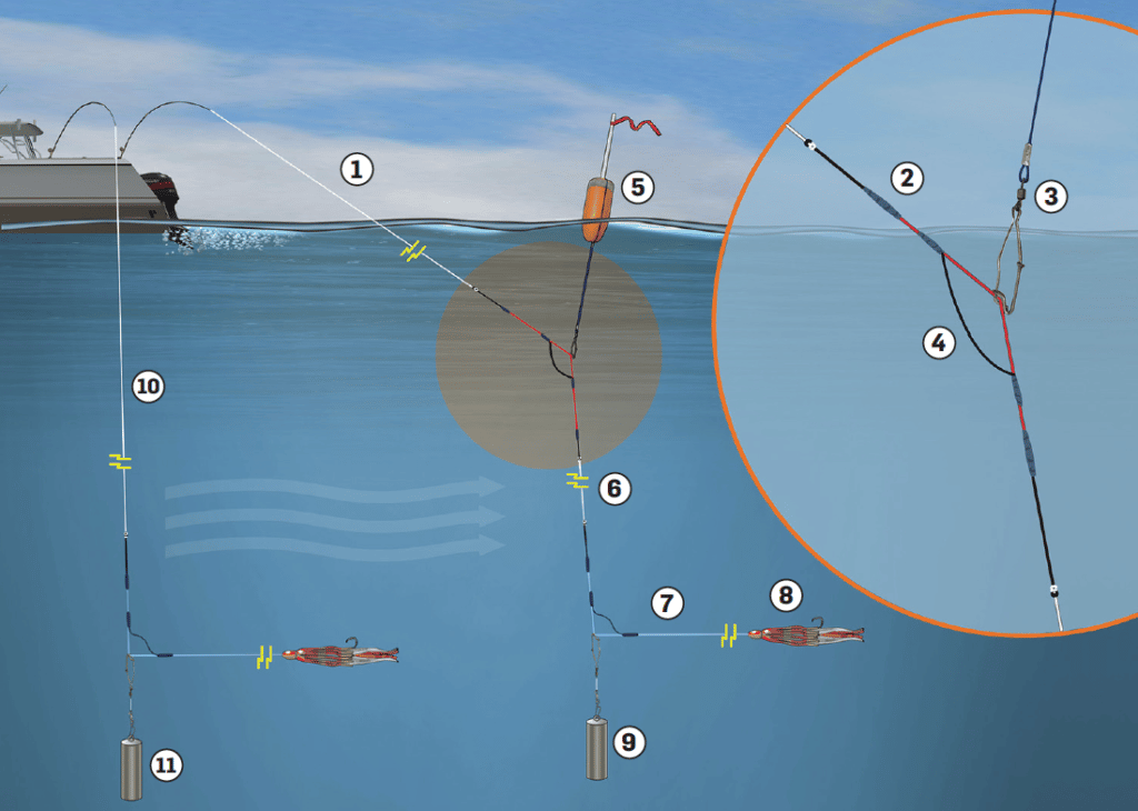 Buoy rig and bottom rod